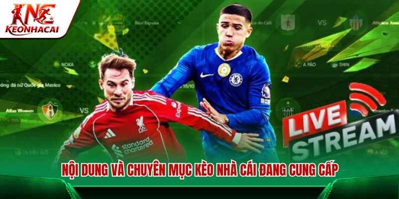 Danh mục nội dung hấp dẫn có trên Kèo Nhà Cái