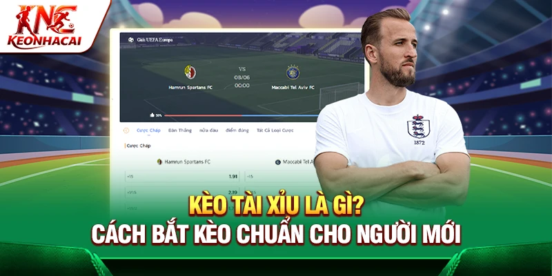 Theo dõi đội hình thi đấu chính thức của hai đội