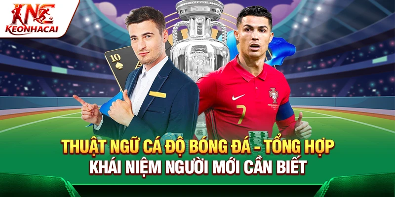 https://mliita.at/thuat-ngu-ca-do-bong-da/