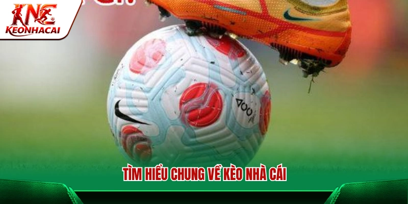 Khám phá kèo nhà cái trong cá cược