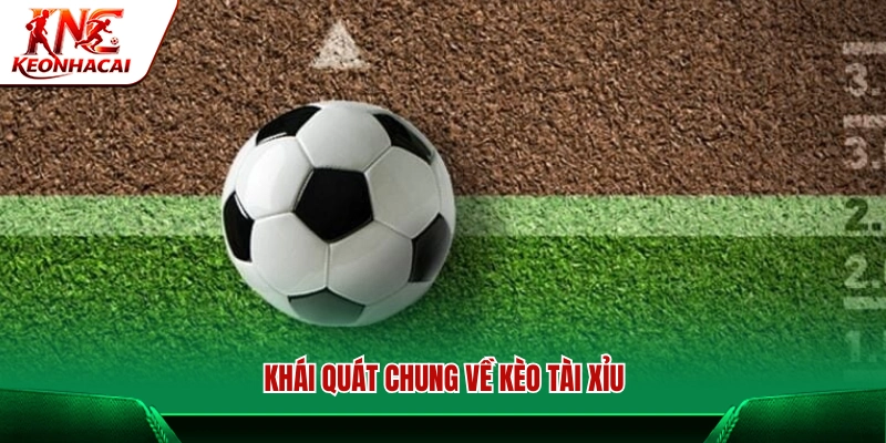 Khái quát chung về kèo Tài Xỉu